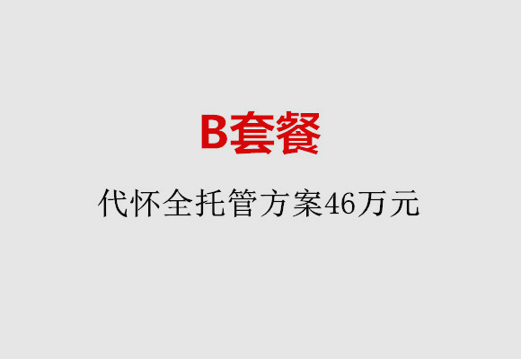 南京B套餐：代怀全托管方案46万元